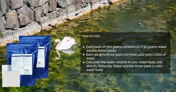 Oswa B-80 - Beneficial Pond Bacteria, Reduce Pond Sludge & Bad Odour