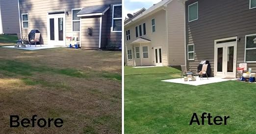 Greenlift Premiere 400 Grass Paint – 1L | Covers 10,000 Sq Ft | Eco-Friendly Lawn Colourant