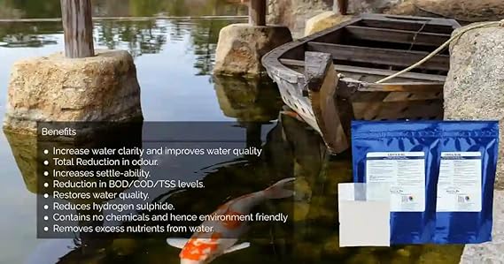 Oswa B-80 - Beneficial Pond Bacteria, Reduce Pond Sludge & Bad Odour