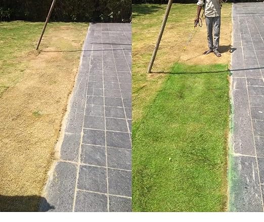 Greenlift Premiere Lawn Paint – 500ML | Covers 1,000 Sq Ft | Eco-Friendly Grass Colourant