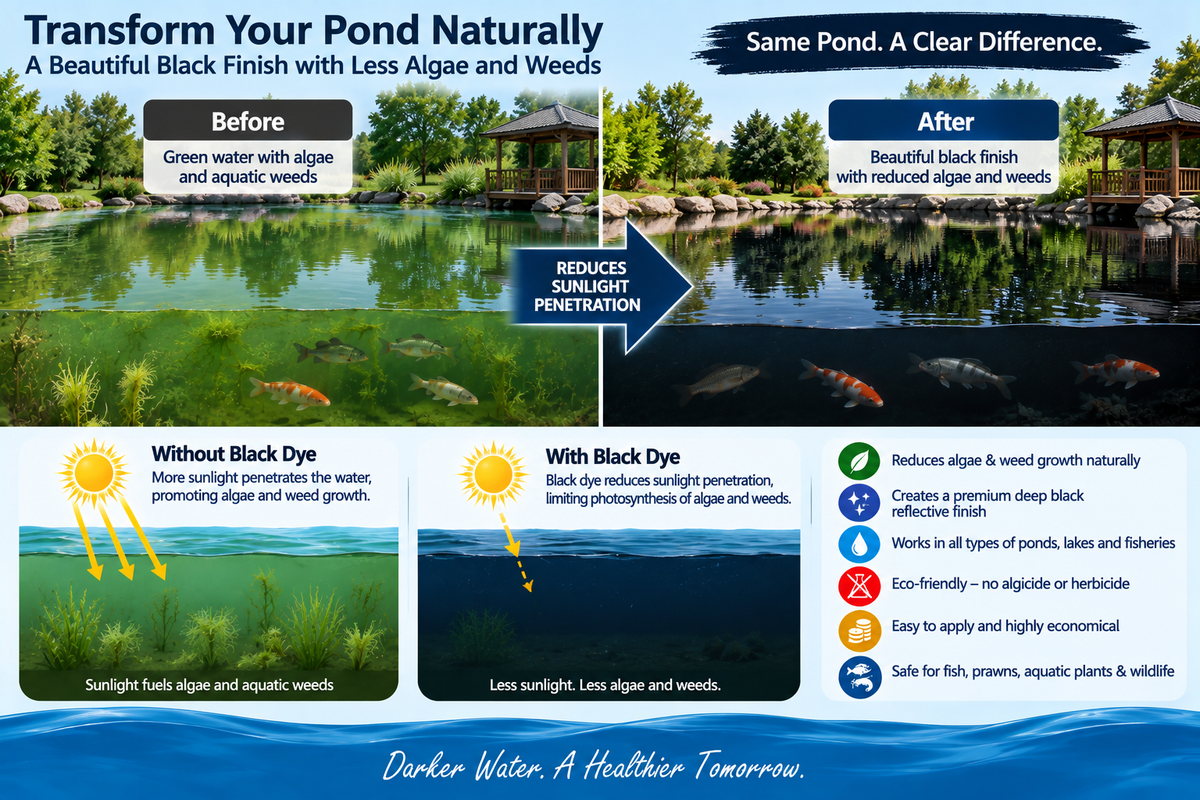 Aquaclean Black WSP Pond Pond Dye for Lakes & Large Ponds