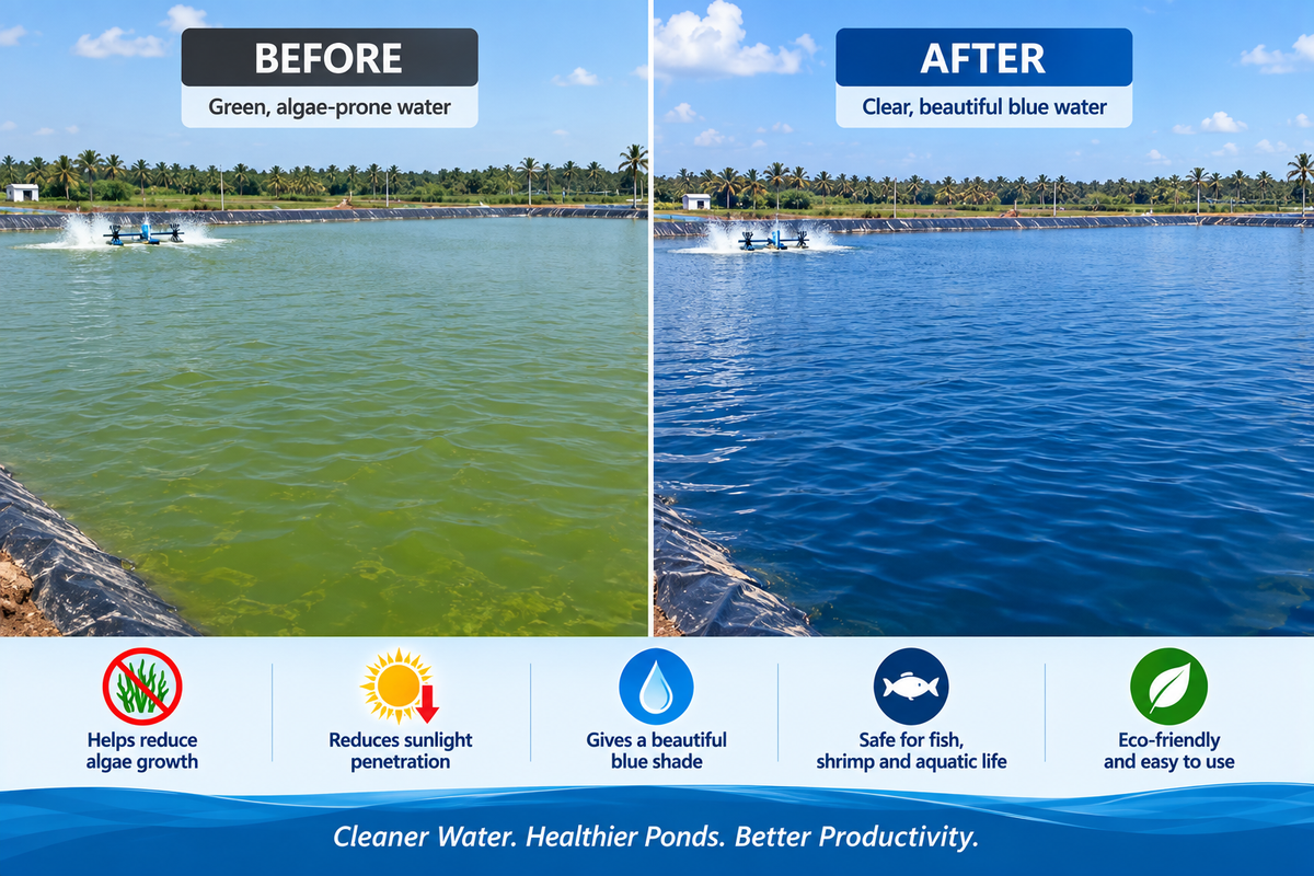 Aquaclean Blue WSP Pond Color / Algae & Weed Inhibitor
