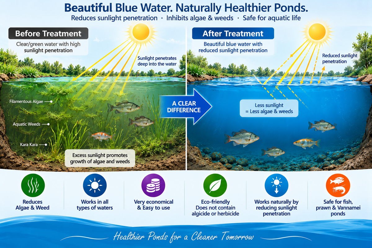 Aquaclean Blue WSP Pond Color / Algae & Weed Inhibitor
