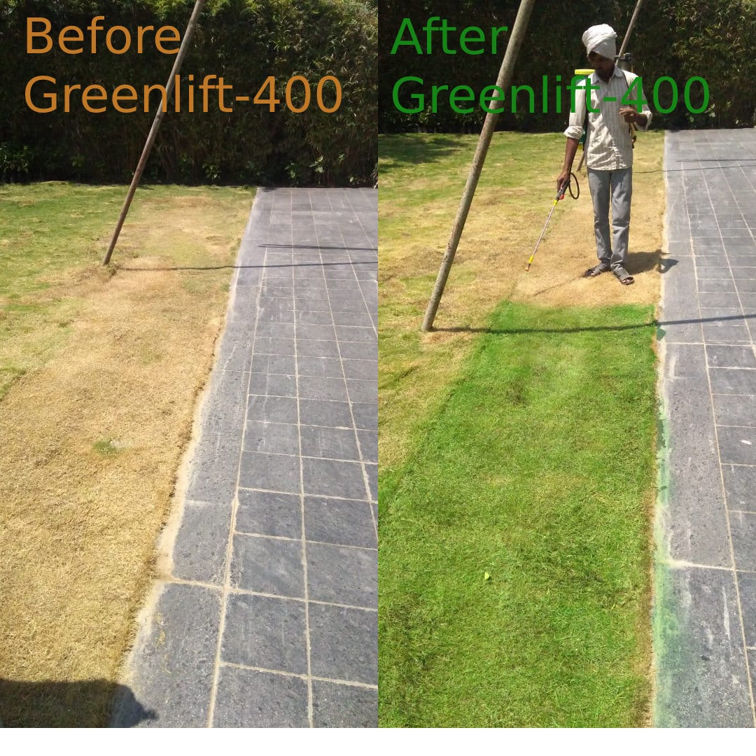 Greenlift 400  Lawn & Turf Colorant
