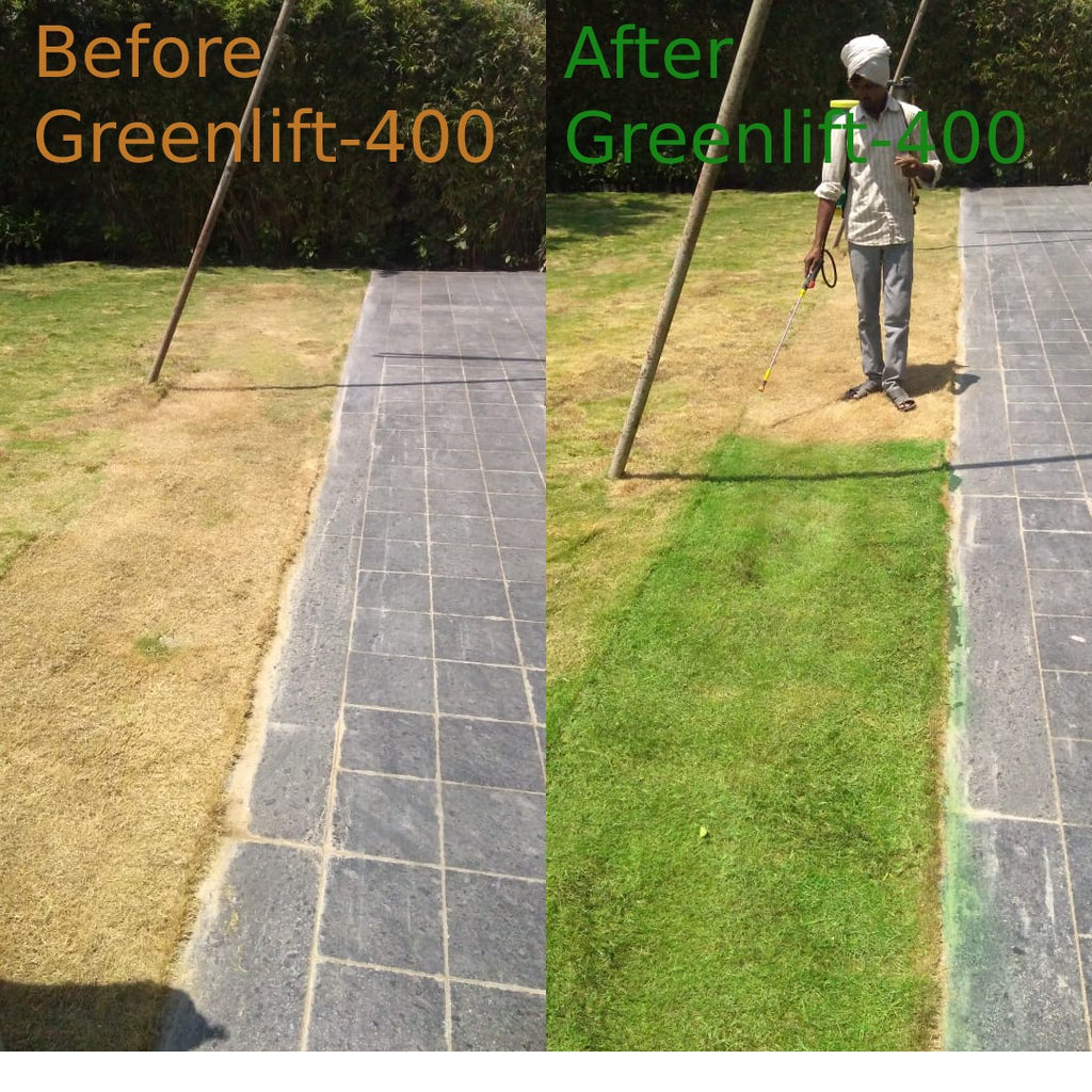 Greenlift 400  Lawn & Turf Colorant