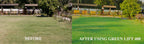 Greenlift 400  Lawn & Turf Colorant